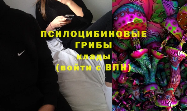 соль ск Абаза